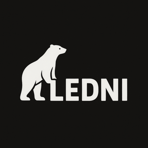 LEDNI Studio Logo